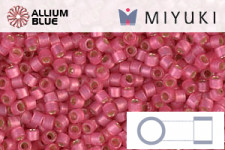 MIYUKI Delica® Seed Beads (DB2180) 11/0 Round - Duracoat Silver Lined Semi-Matte Orchid