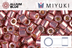 MIYUKI Delica® Seed Beads (DBL1839) 8/0 Round Large - DURACOAT Galvanized Dark Coral