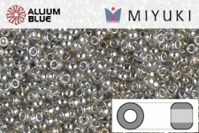 MIYUKI Round Rocailles Seed Beads (RR15-0181) 15/0 Extra Small - Galvanized Silver