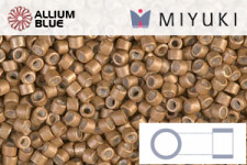 MIYUKI Delica® Seed Beads (DB1163) 11/0 Round - Galvanized Matte Mead